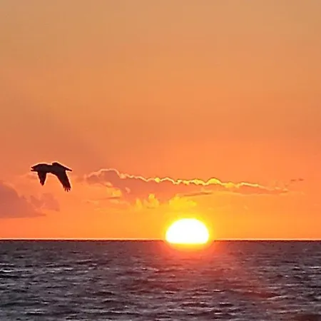 Fmb White Sands Retreat!